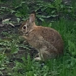 Meet your Posher, Sydney